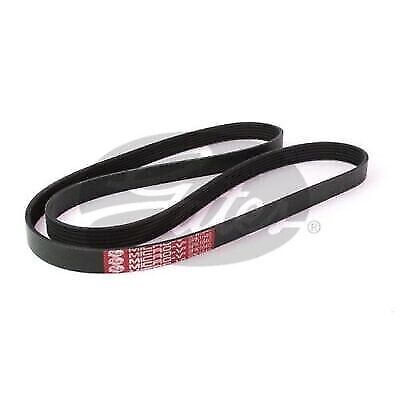 Gates 6PK1640 Drive Belt (Fan Belt) Micro-V Belt