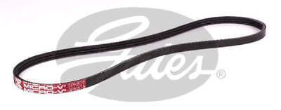Gates Drive Belt Fan Belt Micro-V Belt 3PK875
