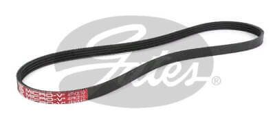 Gates Drive Belt Fan Belt Micro-V Belt 4PK810